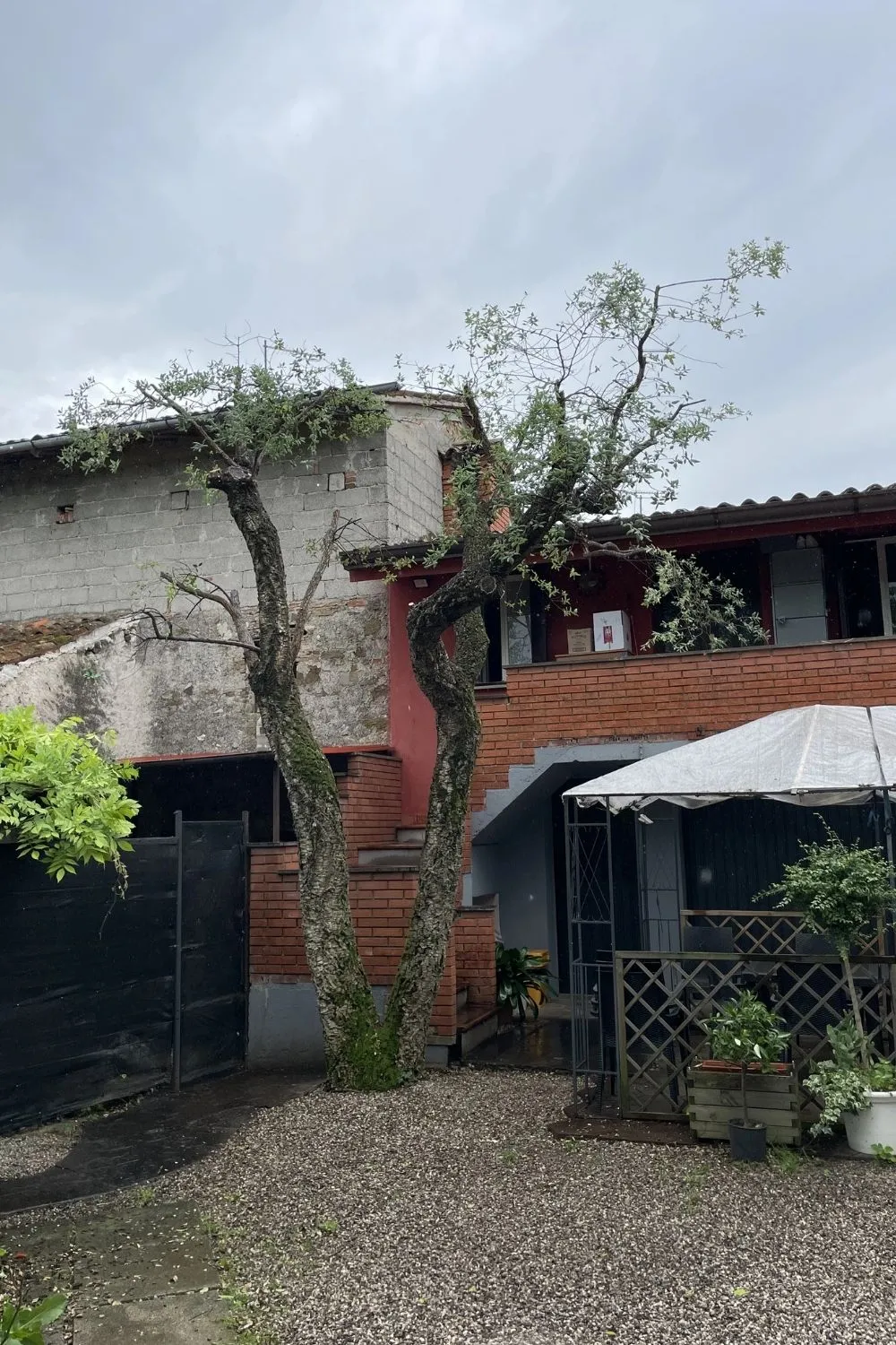 Intervento di Giardinaggio Professionale a Udine da 7 Petali (4)