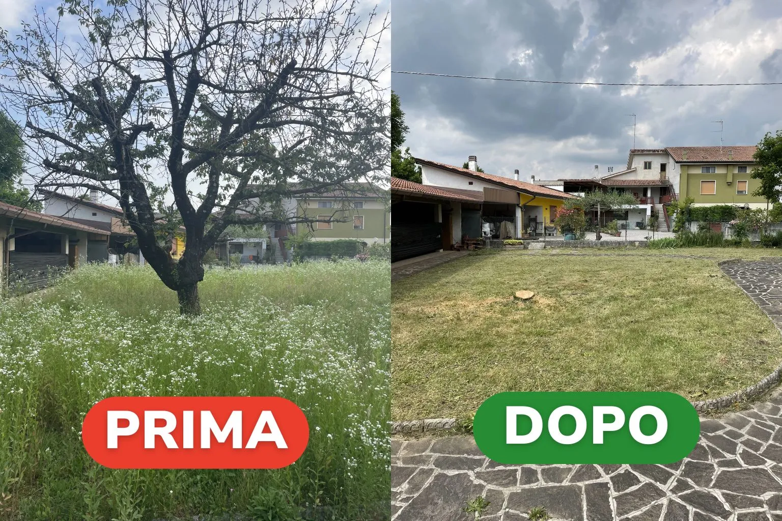 Potatura Albero con 7 Petali in Zona Udine Risultati (3)