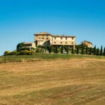 Giardiniere per Attività e Aziende, 7 petali Friuli Venezia Giulia (3)